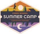 Летний компьютерный лагерь на основе школы программирования CODDY