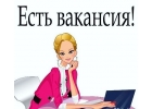 Заместитель руководителя