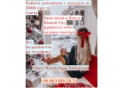 Стабильный доход для девушек без опыта