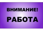 Ответственный менеджер для удалнной работы